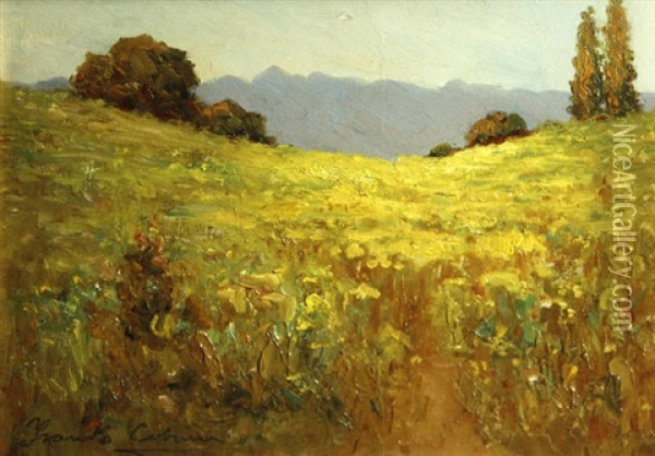 A Summer Landscape Oil Painting - Frank Coburn
