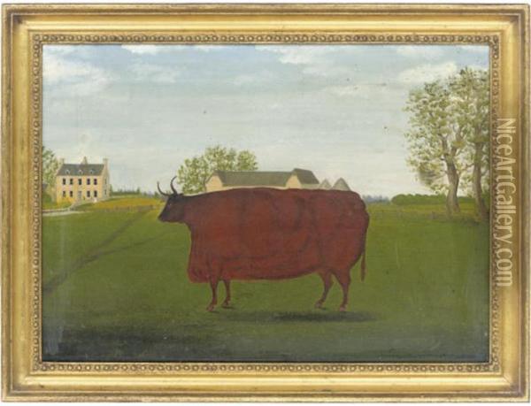 A Prize Bull Oil Painting - Richard Whitford
