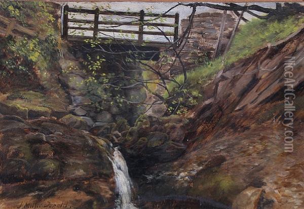 Bridge Over A Mountain Stream Oil Painting - John Milne Donald