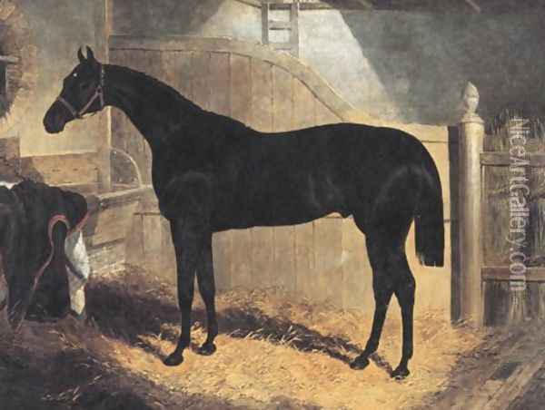 Faugh A Ballagh 1845 Oil Painting - John Frederick Herring Snr