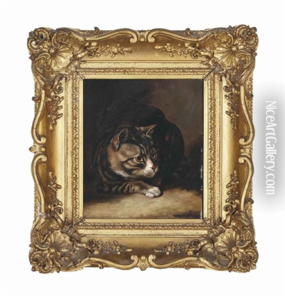 A Tabby Cat Oil Painting - Horatio Henry Couldery
