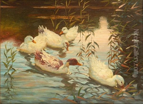 Ducks Oil Painting - Charles Walter, Simpson Rca