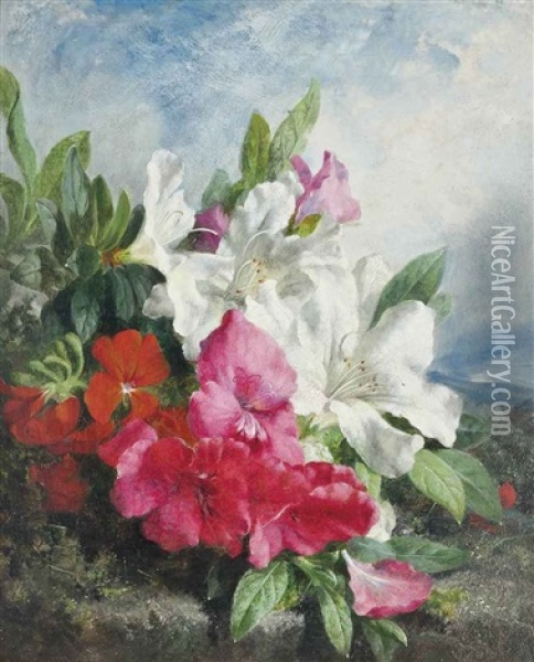 Rhododendrons Oil Painting - Martha Darley Mutrie