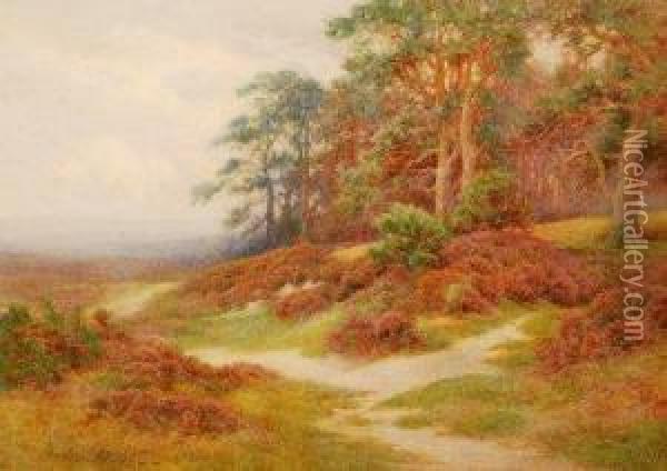Edge Of The Forest Oil Painting - Charles James Adams