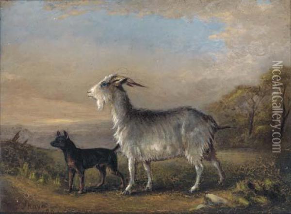 Dogs Resting By A Hay Stook; And A Goat And A Terrier In Alandscape Oil Painting - William Joseph Shayer