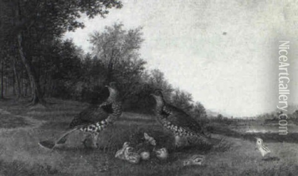 A Family Of Pheasants Oil Painting - Howard L. Hill