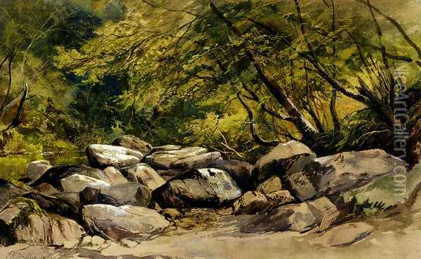 A Rocky Stream, Lyndale, Devon Oil Painting - William James Muller
