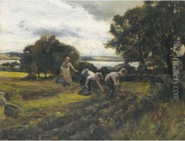 Gathering Potaoes, Menzieshill Oil Painting - William Bradley Lamond