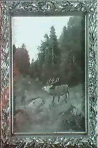 Krohrender Hirsch Auf Der Waldlichtung Oil Painting - Christopher Drahtmann