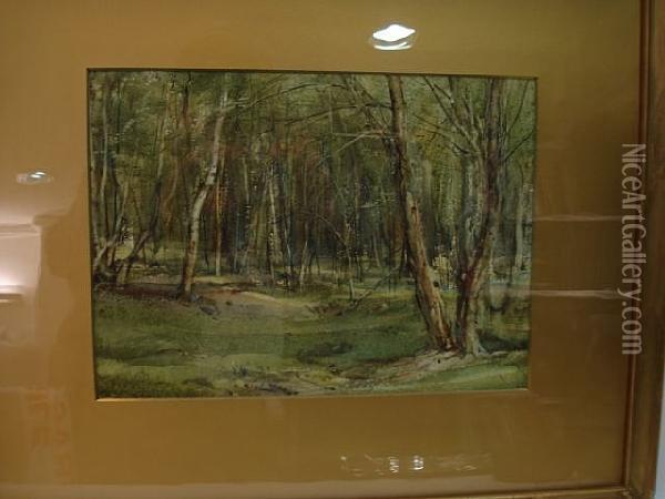 A Wood In Spring Oil Painting - Arthur Reginald Smith