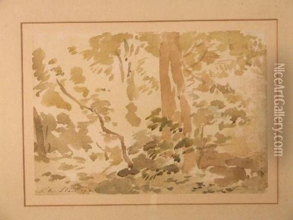 Trees On The Islet Oil Painting - Philip Wilson Steer