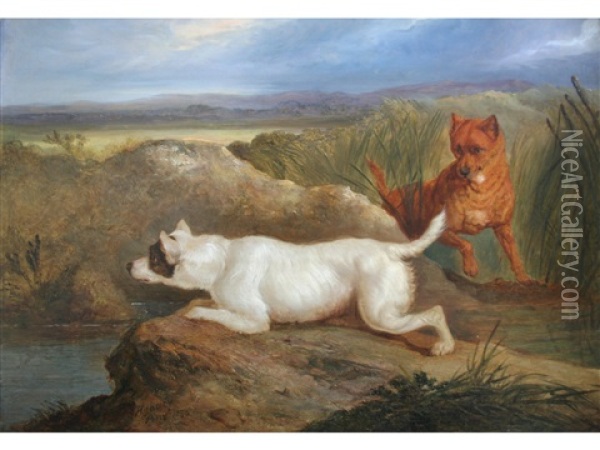 Two Terriers Oil Painting - Charles Hancock