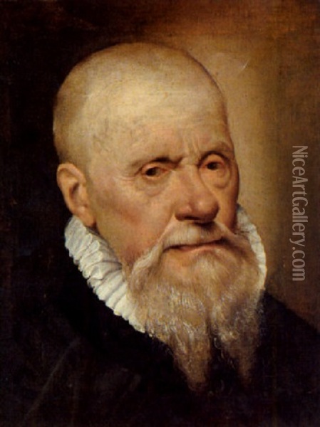 Bildnis Eines Bartigen Mannes Oil Painting -  Romanino (Girolamo Romani)