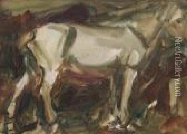 Study Of A Horse Oil Painting - Harry Becker