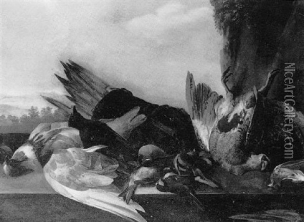 Nature Morte: Oiseaux, Pigeon Et Perdrix Oil Painting - Michiel Simons