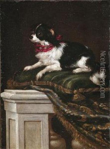 A Spaniel On A Cushion Oil Painting - Francesco (Il Maltese) Fieravino