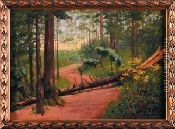 Powalone Drzewo, 1929 R. Oil Painting - Mieczyslaw Reyzner