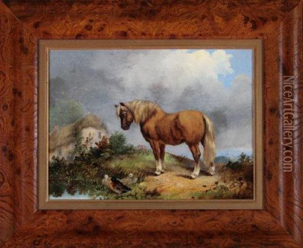 A Pony And Ducks By A Pond Oil Painting - J. Duvall