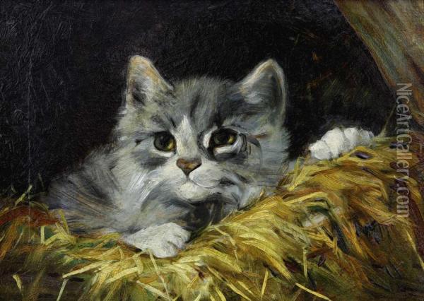 Auf Der Lauer (liegendes Katzchen) Oil Painting - Julius Adam