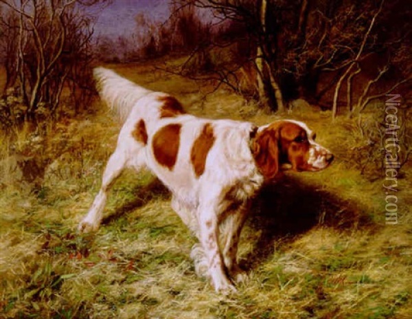 Setter In A Landscape Oil Painting - Franklin Whiting Rogers