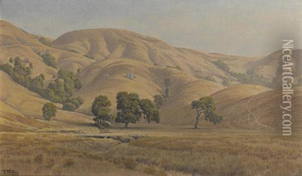 Rolling California Hills In Summer Oil Painting - Jack Wisby