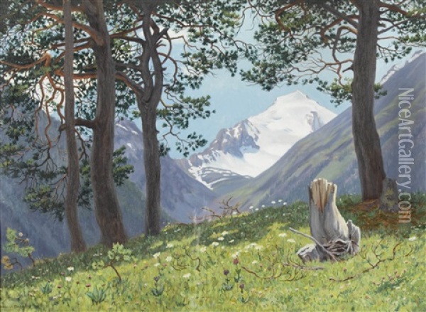 Piz Quattervals In Den Livigno-alpen Oil Painting - Regnault Sarasin