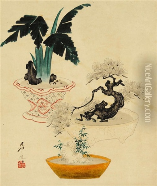 Potted Plants Oil Painting - Shibata Zeshin
