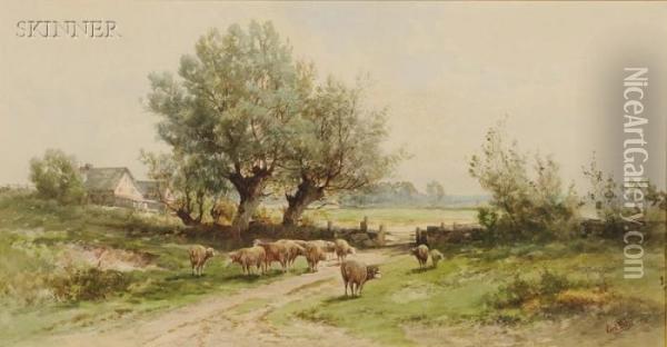Landscape With Grazing Sheep Oil Painting - Carl Weber