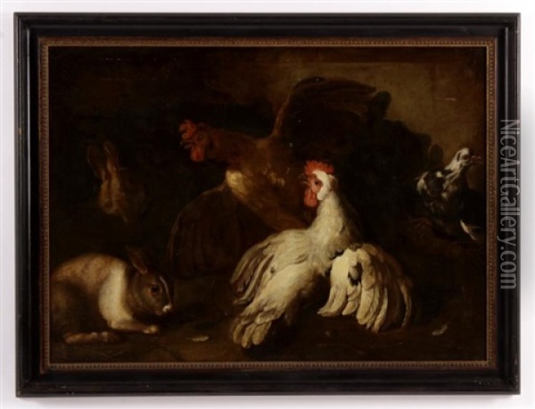 Rabbits And Roosters Oil Painting - Melchior de Hondecoeter