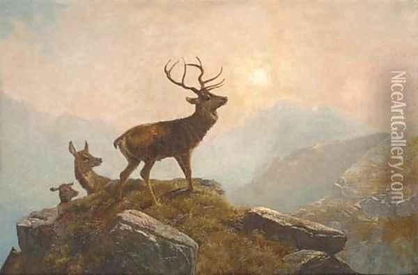 Stags in a Highland landscape 2 Oil Painting - Clarence Roe
