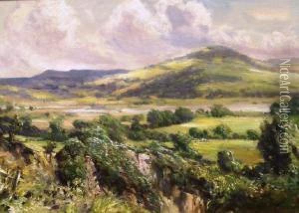 Mountain And Lake Landscape Oil Painting - Robert Fowler