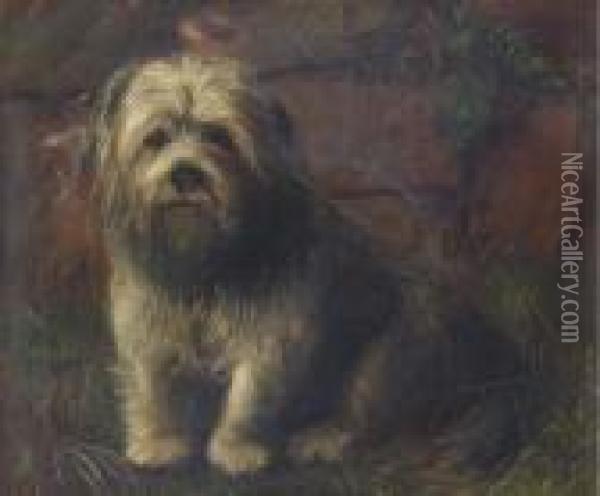 Portrait Of A Terrier Oil Painting - Henry Crowther