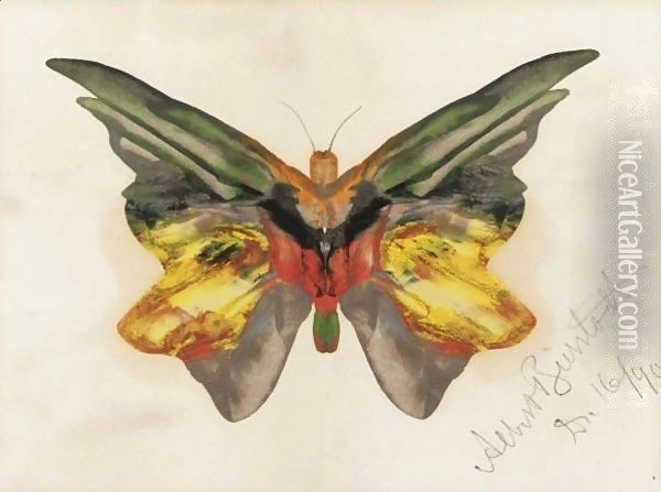 Butterfly 4 Oil Painting - Albert Bierstadt