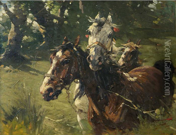 Cavalli Nel Prato Oil Painting - Alfredo Tominz