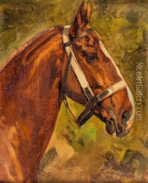 Pferdekopf Oil Painting - Wilhelm Hohnel