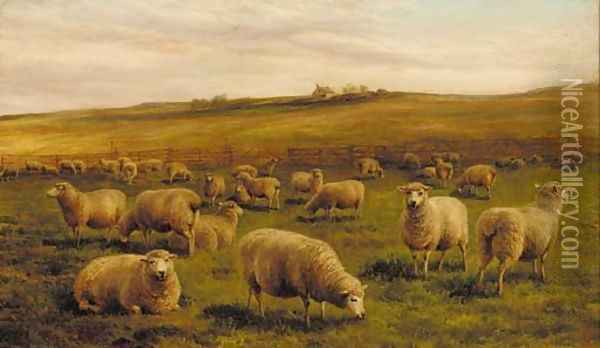 Sheep grazing with a cottage beyond Oil Painting - Charles Jones