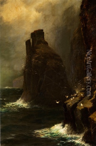 Romantische Kustenlandschaft Mit Steilem Felsen, Von Mowen Bevolkert Oil Painting - James H.C. Millar