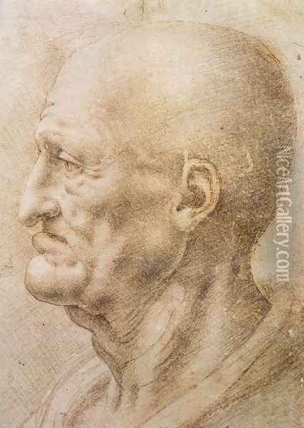 Profile Of An Old Man Oil Painting - Leonardo Da Vinci