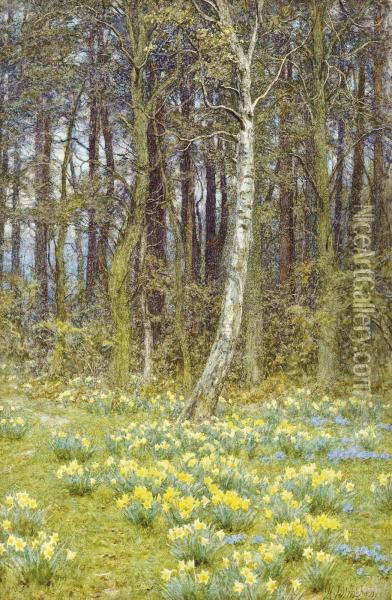 The Daffodil Wood Oil Painting - Helen Mary Elizabeth Allingham