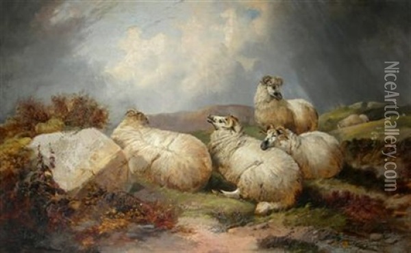 Sheep Resting Oil Painting - John W. Morris
