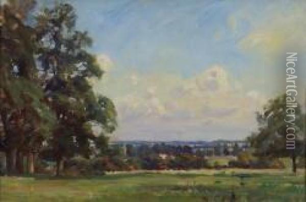 View From Slindon, West Sussex Oil Painting - Robert Payton Reid
