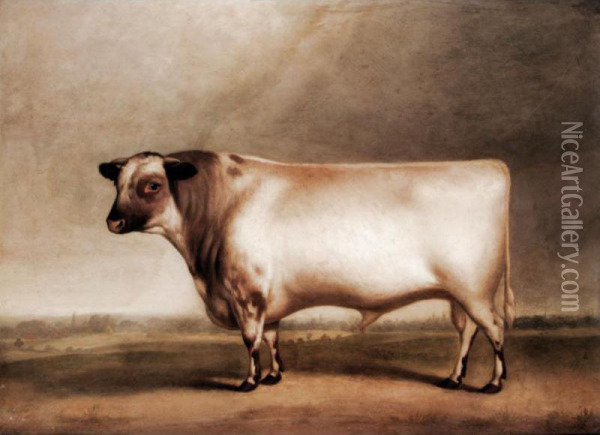 Ormsby, A Prize Bull, Bred By Mr William Cropper Of Laceby Oil Painting - Bennet Hubbard