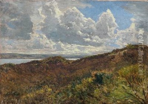 View From Munkholm Near Vejle, Denmark Oil Painting - Godfred Christensen