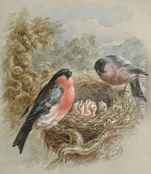A Pair Of Bullfinches At A Nest Oil Painting - Henry Barnabus Bright