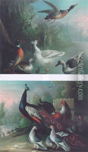 A Peacock, Chickens And Pigeons On A Riverbank Oil Painting - Marmaduke Cradock