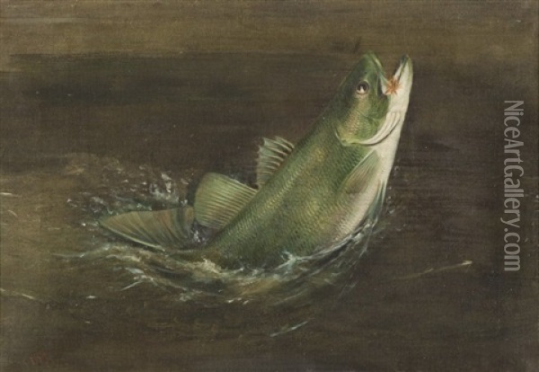 Bass Rising Oil Painting - Harry Driscole