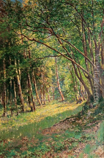 Wood In Spring Oil Painting - Max Kuchel
