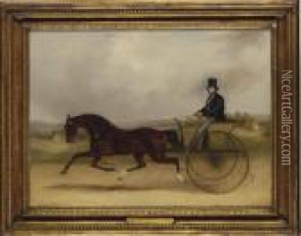 'confidence', A Celebrated American Trotter Performing A Match In Harness Oil Painting - Snr William Shayer