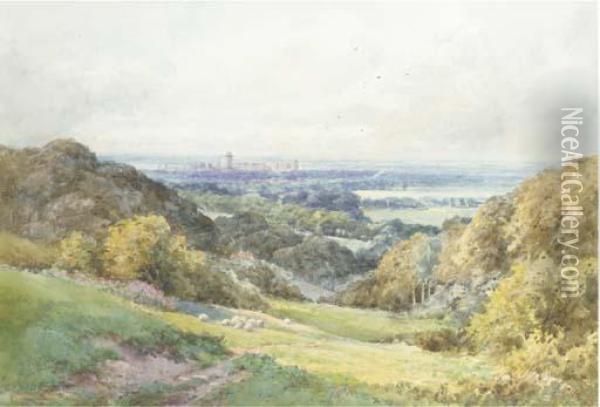 Windsor Castle From Cooper's Hill Oil Painting - Henry John Sylvester Stannard