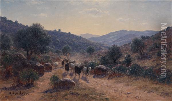 Troupeau En Algerie Oil Painting - Antoine Gadan